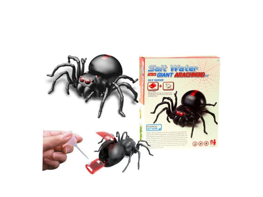 Scientific Experiment: Salt Water Spider